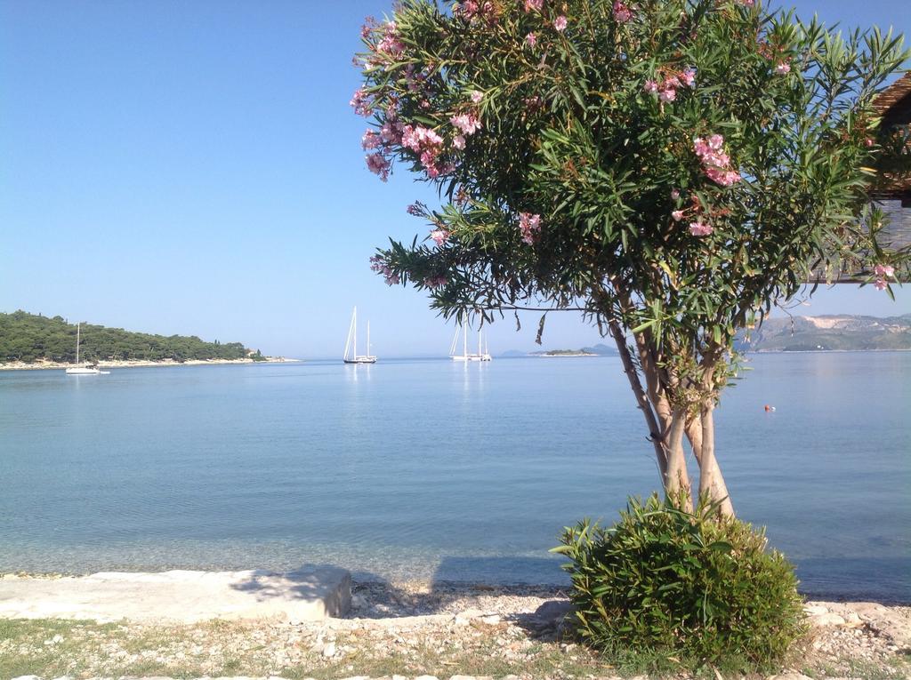 Apartment Biserka Cavtat Kamer foto